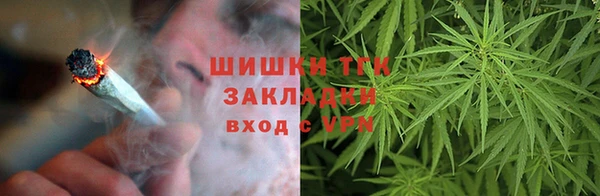 spice Елизово