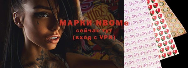 дживик Елабуга