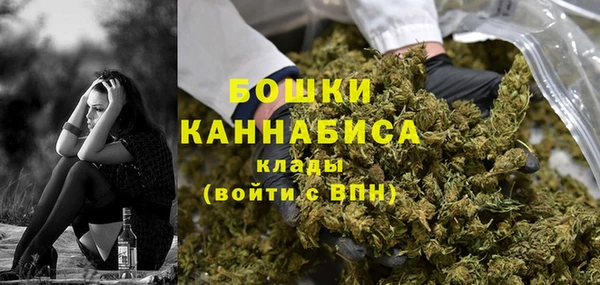 альфа пвп Заводоуковск