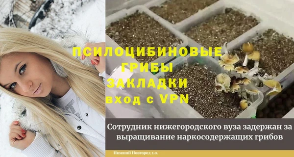 jwh Ельня