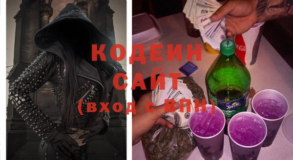 дживик Елабуга