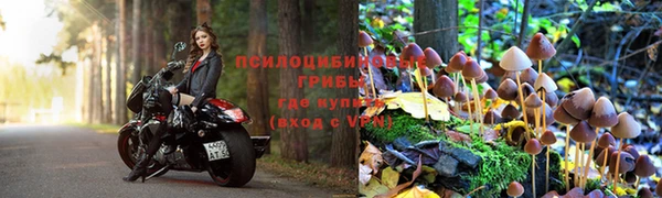 jwh Ельня