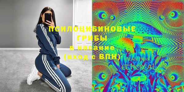 дживик Елабуга