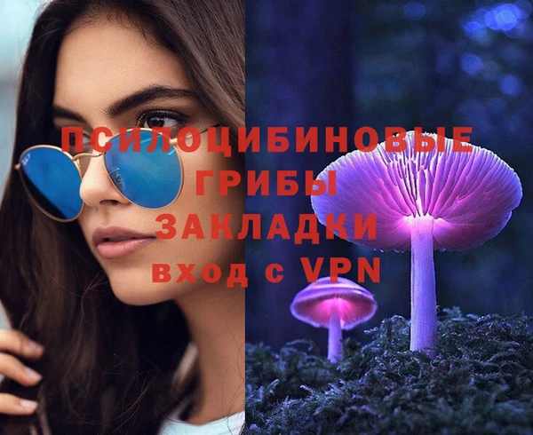 spice Елизово